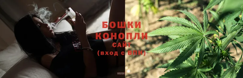 Бошки марихуана SATIVA & INDICA  Губкин 